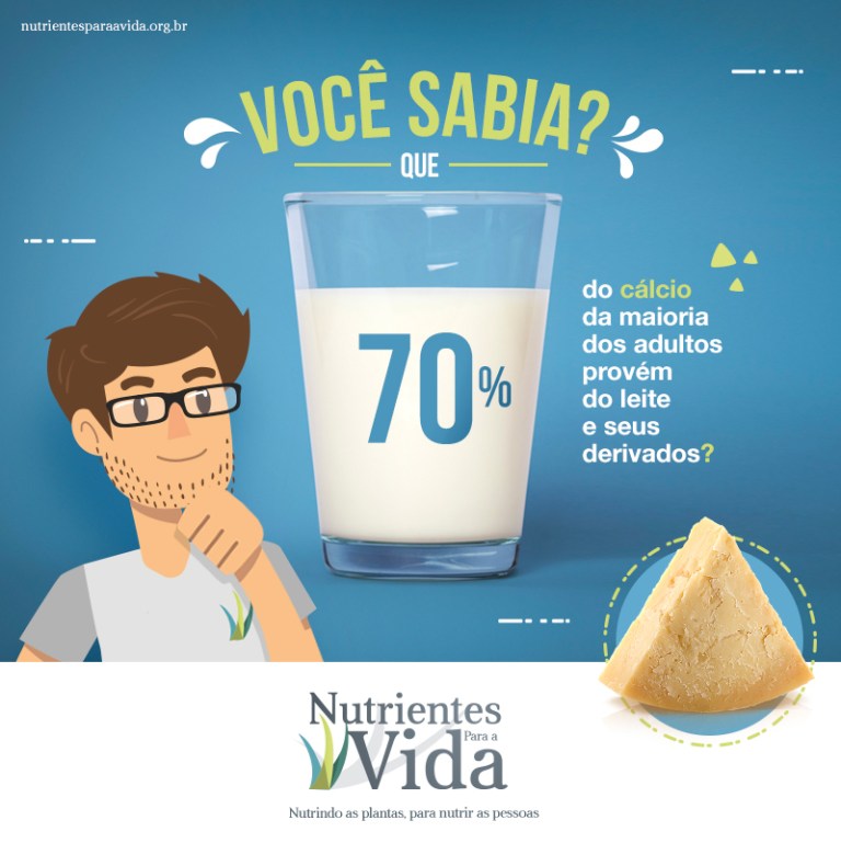 Solo bem nutrido gera alimento nutritivo