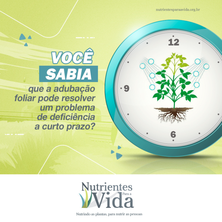 Nutrição mais eficiente através da adubação foliar