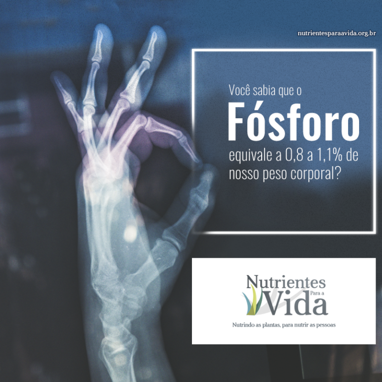Fósforo: um nutriente essencial