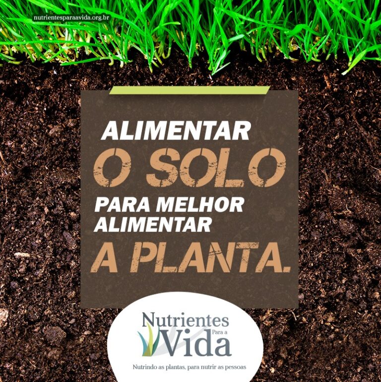 Informe relevante