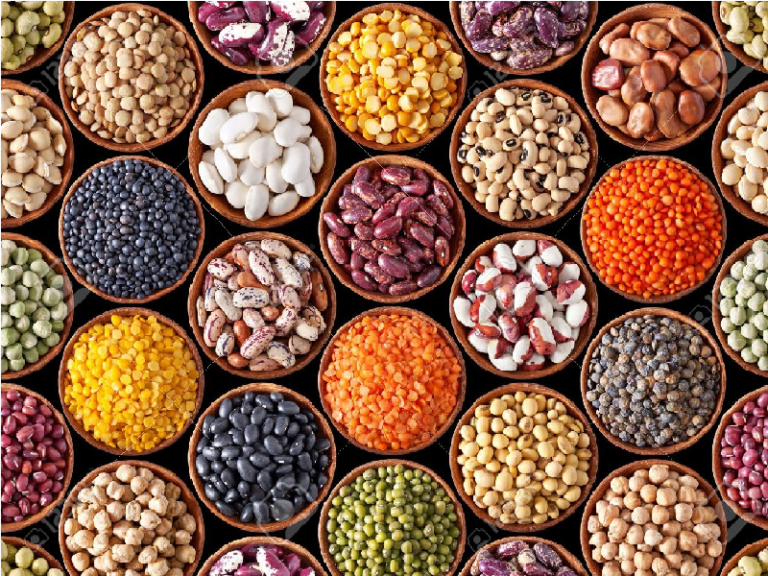 Fatores antinutricionais nos alimentos