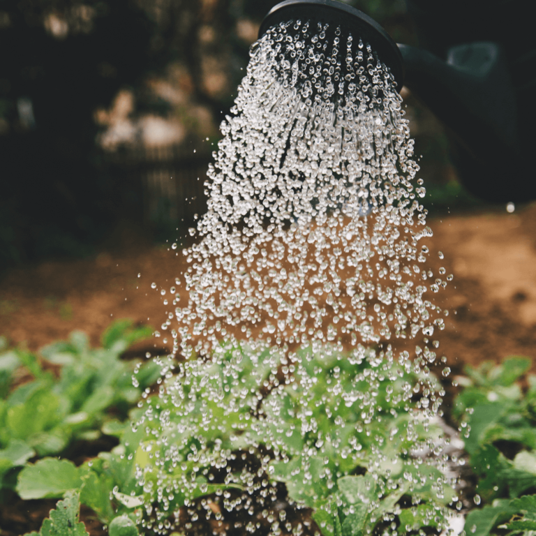 O que há nos sacos de fertilizantes?