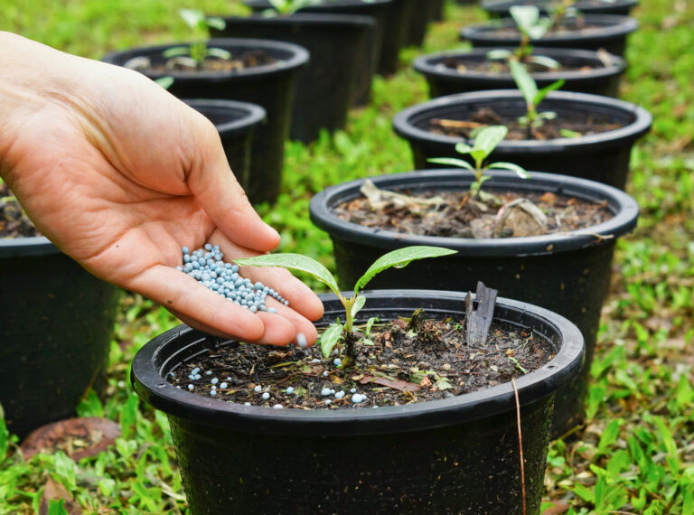 Uso correto dos fertilizantes