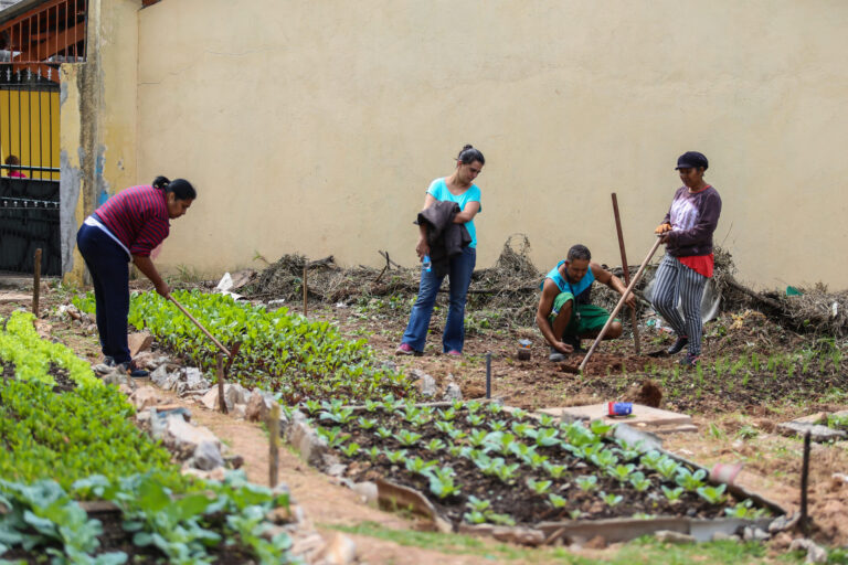 Lançamento Horta Cores e Sabores