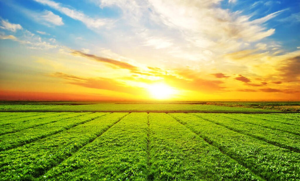 Fertilizantes reduzem gases de efeito estufa - Artigo e Imprensa