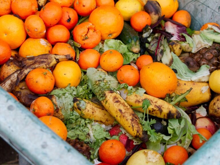 Brasileiro perde quase R$ 8 mil por ano em alimentos descartados