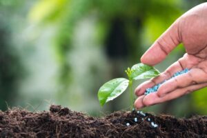 Uso de Fertilizantes