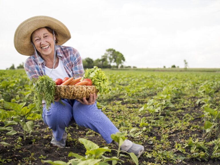 Dia Internacional da Agricultura: parabéns ao produtor rural brasileiro