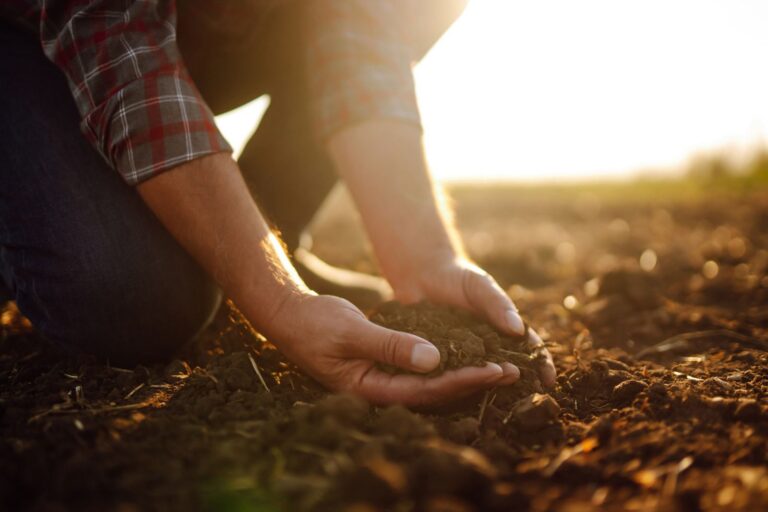 Conservação do solo: uma aliança com os fertilizantes