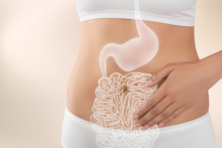 Nutrição do Solo e Saúde Intestinal: qual a relação?