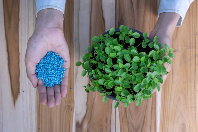 Fertilizantes minerais e orgânicos: a segurança alimentar do mundo depende deles