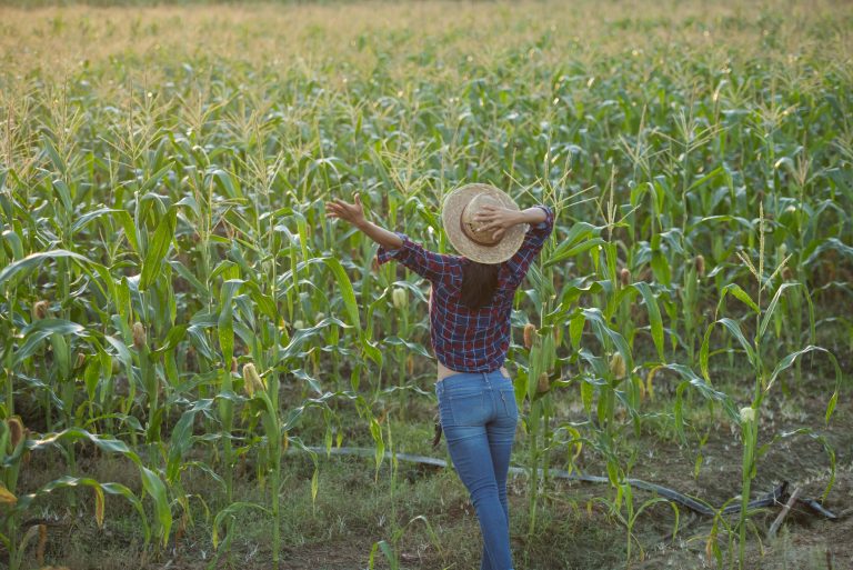 Fertilizantes, a invenção que mais salvou vidas na história