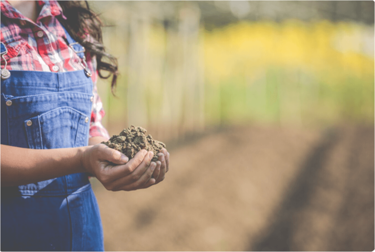 Recuperação de solos após inundações, por meio do uso de fertilizantes