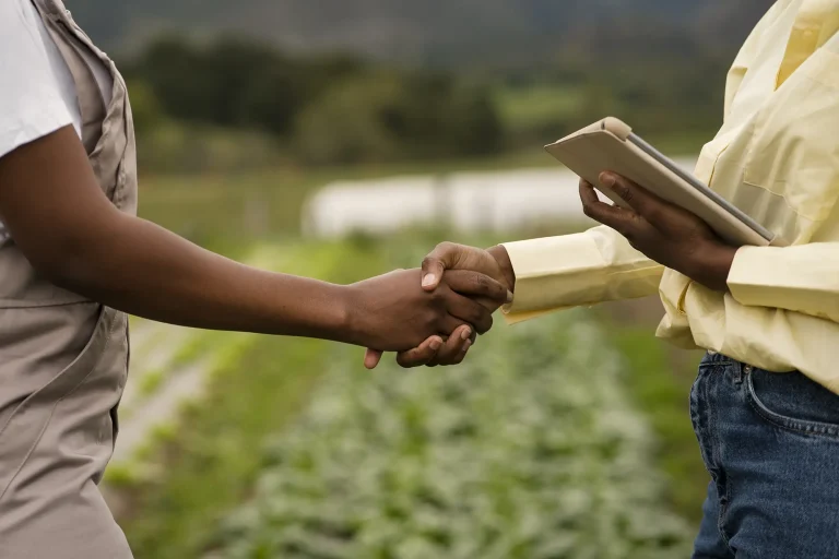 Além dos alimentos, fertilizantes são essenciais para diversos outros segmentos da economia